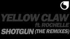 Yellow Claw  Ft. Rochelle - Shotgun (LNY TNZ Radio Edit)