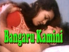 Bangaru Kaamini: Full Telugu Movie
