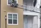 Daring Rescue of Cat From Fire