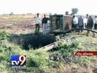 Asiatic lion falls into well in Junagadh, rescued - Tv9 Gujarati