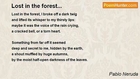 Pablo Neruda - Lost in the forest...