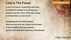 Pablo Neruda - Lost In The Forest