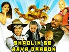 Shaolin Se Aaya Dragon | Hindi Dubbed Movie | Sik Siu-Lung, Kara Hui, Vivian Hsu