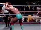 Hulk Hogan vs Terry Funk-WWF Title