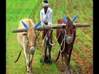 Rajiv Dixit : Best formula for ORGANIC FARMING avoid Chemical & Fertilizers