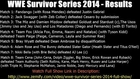 WWE Survivor Series 2014 - Results