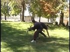 How To Fight -- Combat Jiu-Jitsu Techniques