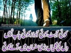 urdu poetry (raat aankhon men dhali palkon pe jugnoo aaye)