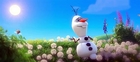 Frozen In Summer - Animated Movies Songs