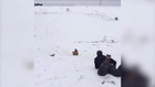 Derick Dillard Appears to Sled Over A Cat As Duggar Family Cheers