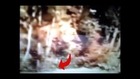 Baby Bigfoot Discovered in Patterson Film?